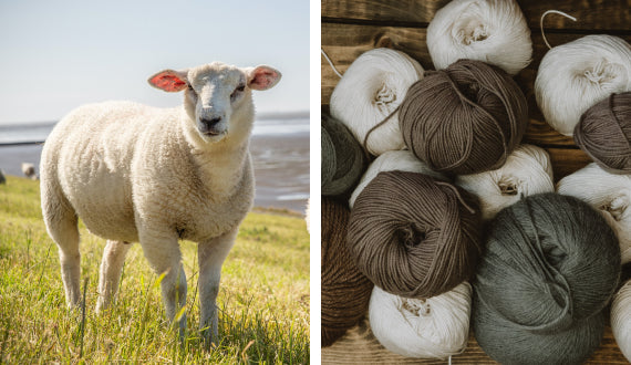 MERINO-WOOL